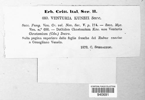 Venturia image